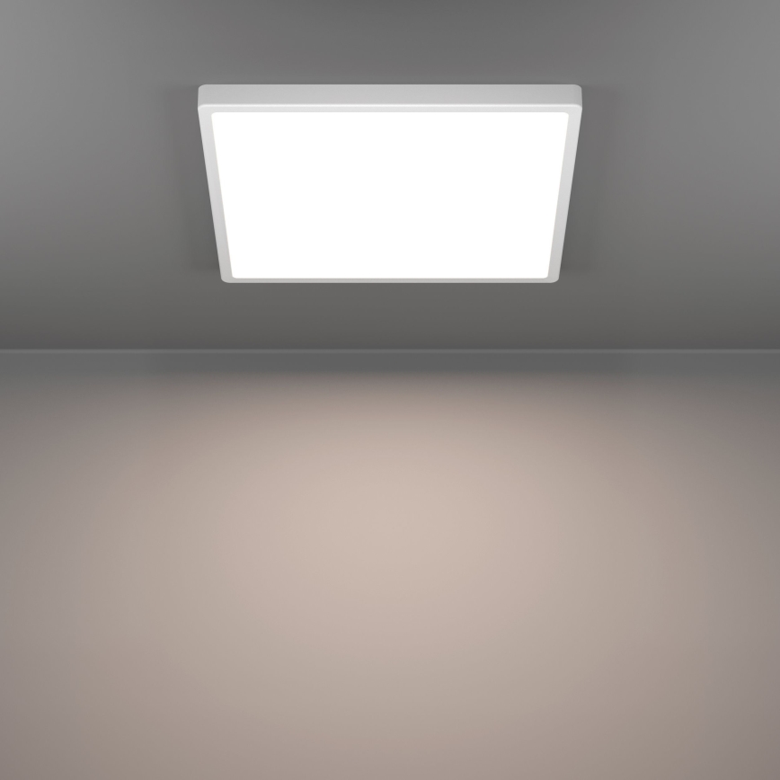 Eglo - LED Stropna svjetiljka LED/17,5W/230V 2700/4000/6500K 39x39 cm bijela