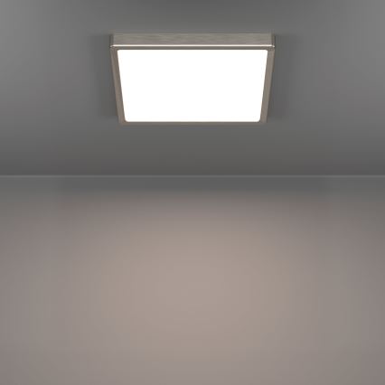 Eglo - LED stropna svjetiljka LED/13W/230V 2700/4000/6500K 29x29 cm matni krom