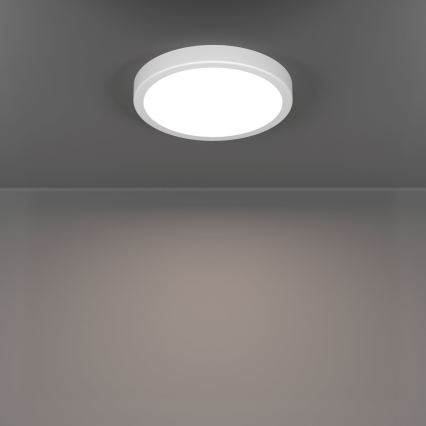 Eglo - LED kupaonsko stropno svjetlo LED/11,5W/230V pr. 21,1 cm IP44 bijela