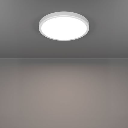 Eglo - LED kupaonska stropna svjetiljka LED/14,2W/230V 2700/4000/6500K Ø 27,8 cm IP44 bijela
