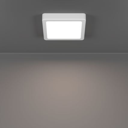 Eglo - LED stropno svjetlo za kupaonicu LED/7W/230V 2700/4000/6500K 15x15 cm IP44 bijela