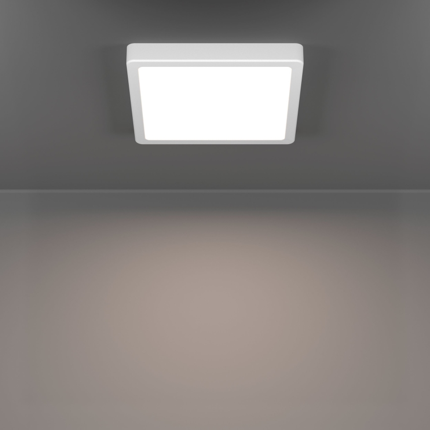 Eglo - LED stropno svjetlo za kupaonicu LED/10,5W/230V 22x22 cm IP44 bijelo