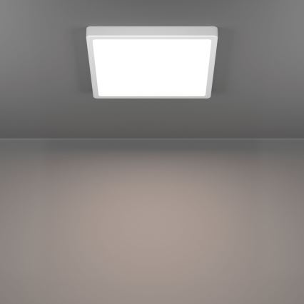 Eglo - LED stropna svjetiljka za kupaonicu LED/13W/230V 29x29 cm IP44 bijela