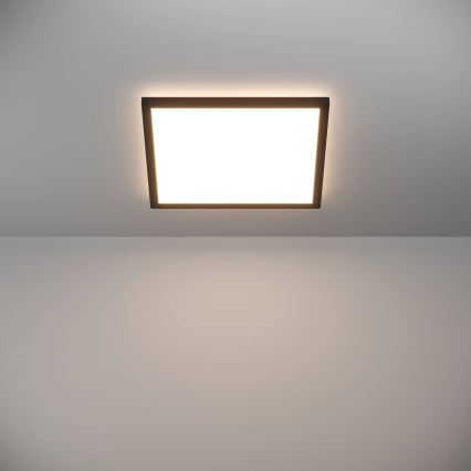 Eglo - LED Stropna svjetiljka za kupaonicu LED/17,6W/230V 2700/4000/6500K 39x39 cm IP44 crna