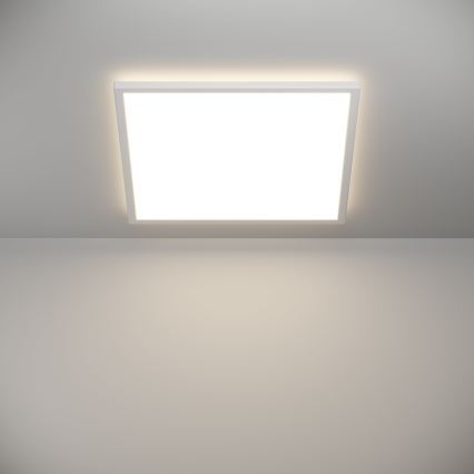 Eglo - LED Stropna svjetiljka za kupaonicu LED/17W/230V 2700/4000/6500K 50x50 cm IP44 bijela