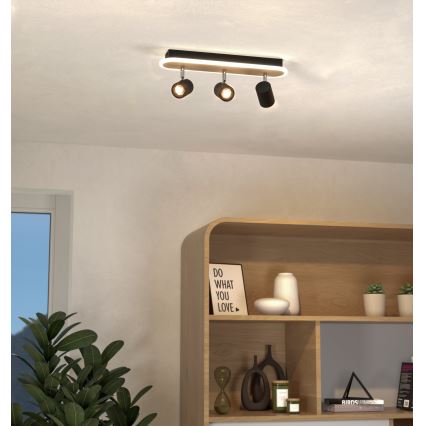 Eglo - LED spot svjetiljka LED/20W/230V smeđa/crna