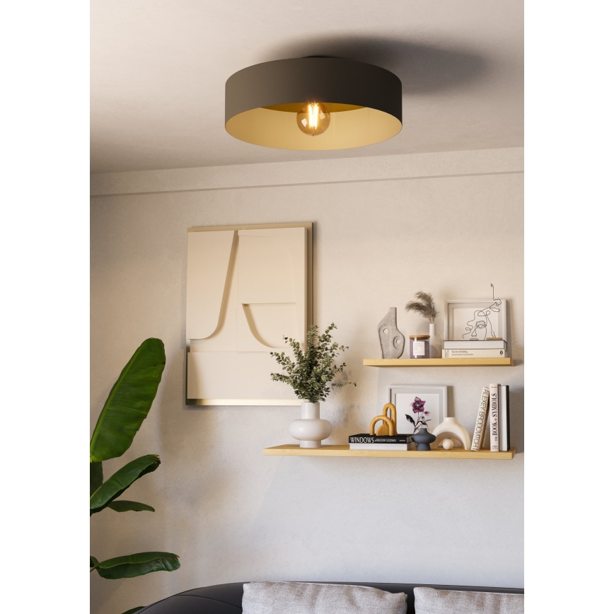 Eglo - Stropna svjetiljka 1xE27/40W/230V siva