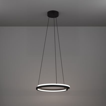 Eglo - LED luster na sajli s mogućnošću prigušivanja 2xLED/20W/230V 2700-6500K Ø 48 cm crni + daljinski upravljač