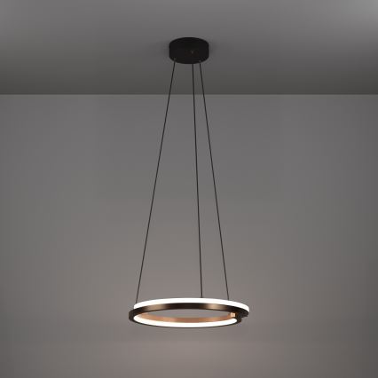 Eglo - LED viseći luster s mogućnošću prigušivanja na kabelu 2xLED/20W/230V 2700-6500K Ø 48 cm brončani + daljinski upravljač