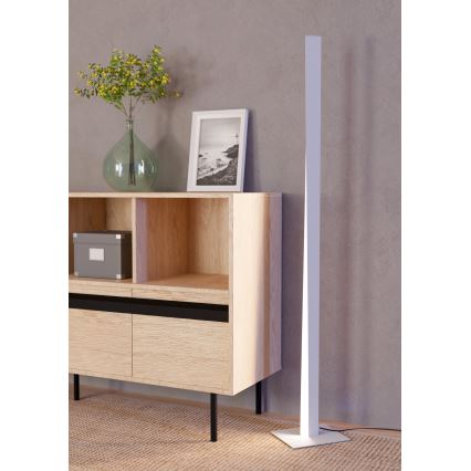 Eglo - LED RGBW Stojeća lampa s prigušivanjem LED/10,5W/230V + LED/15,2W 2700-6500K siva