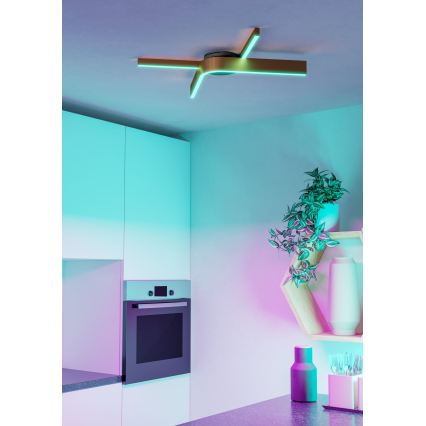 Eglo - LED RGBW prigušivo stropno svjetlo 2xLED/18W/230V 2700-6500K bakrena/crna
