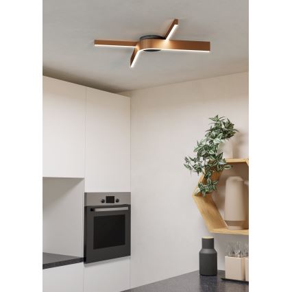 Eglo - LED RGBW stropna svjetiljka s mogućnošću prigušivanja 2xLED/18W/230V bakrena/crna