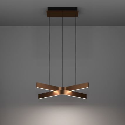 Eglo - LED RGBW luster na sajli s mogućnošću prigušivanja 2xLED/18W/230V bakrena/crna