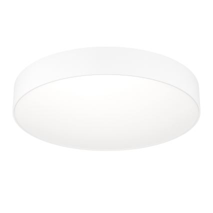 Eglo - LED RGBW stropna svjetiljka s mogućnošću prigušivanja LED/26W/230V 2700–6500K Ø 49 cm bijela