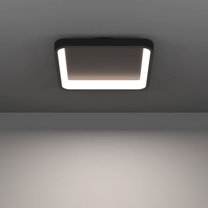 Eglo - LED RGBW prigušivo stropno svjetlo LED/20W/230V 2700-6500K 35x35 cm crna