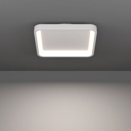 Eglo - LED RGBW stropna svjetiljka s prigušivanjem LED/20W/230V 2700-6500K 35x35 cm bijela