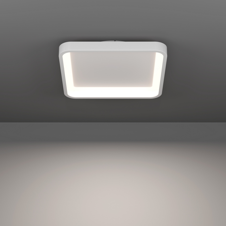 Eglo - LED RGBW stropna svjetiljka s prigušivanjem LED/20W/230V 2700-6500K 35x35 cm bijela