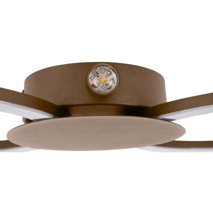 Eglo - LED zidna svjetiljka LED/20W/230V + LED/0,91W bež