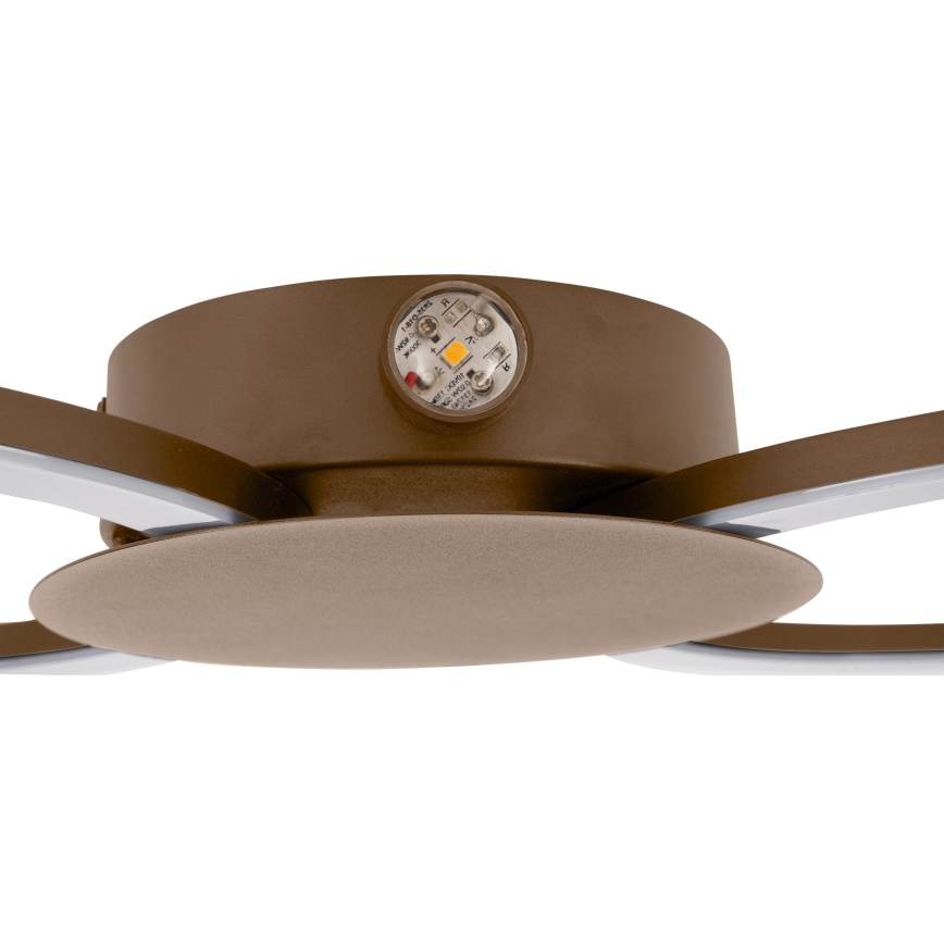 Eglo - LED zidna svjetiljka LED/20W/230V + LED/0,91W bež