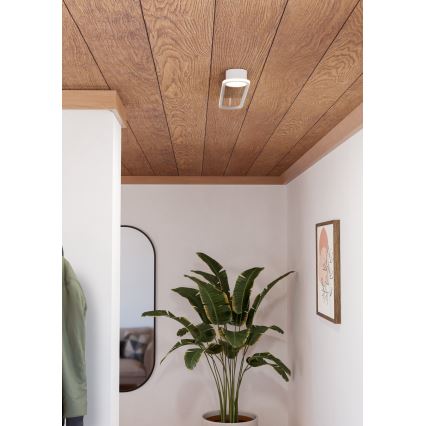 Eglo - LED stropna svjetiljka LED/24W/230V 2700/4000/6500K bijela