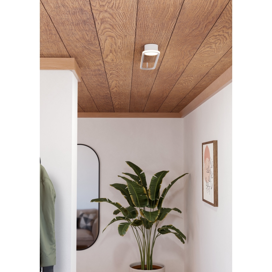 Eglo - LED stropna svjetiljka LED/24W/230V 2700/4000/6500K bijela