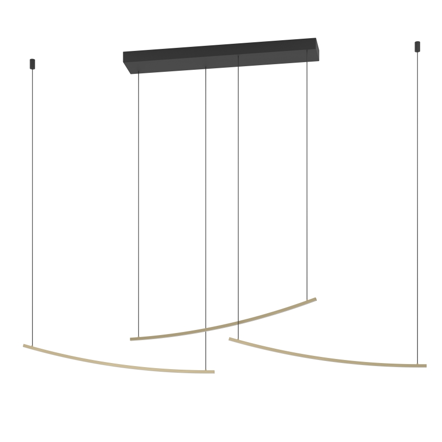 Eglo - LED luster na sajli s mogućnošću prigušivanja LED/22W/230V 2700/4000/6500K zlatna