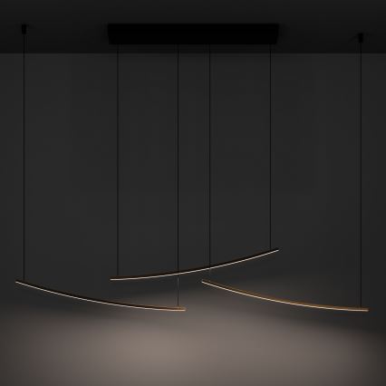 Eglo - LED luster na sajli s mogućnošću prigušivanja LED/22W/230V 2700/4000/6500K zlatna