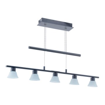Eglo 92227 - Luster na sajli TUFARA 5xLED/3,3W/230V