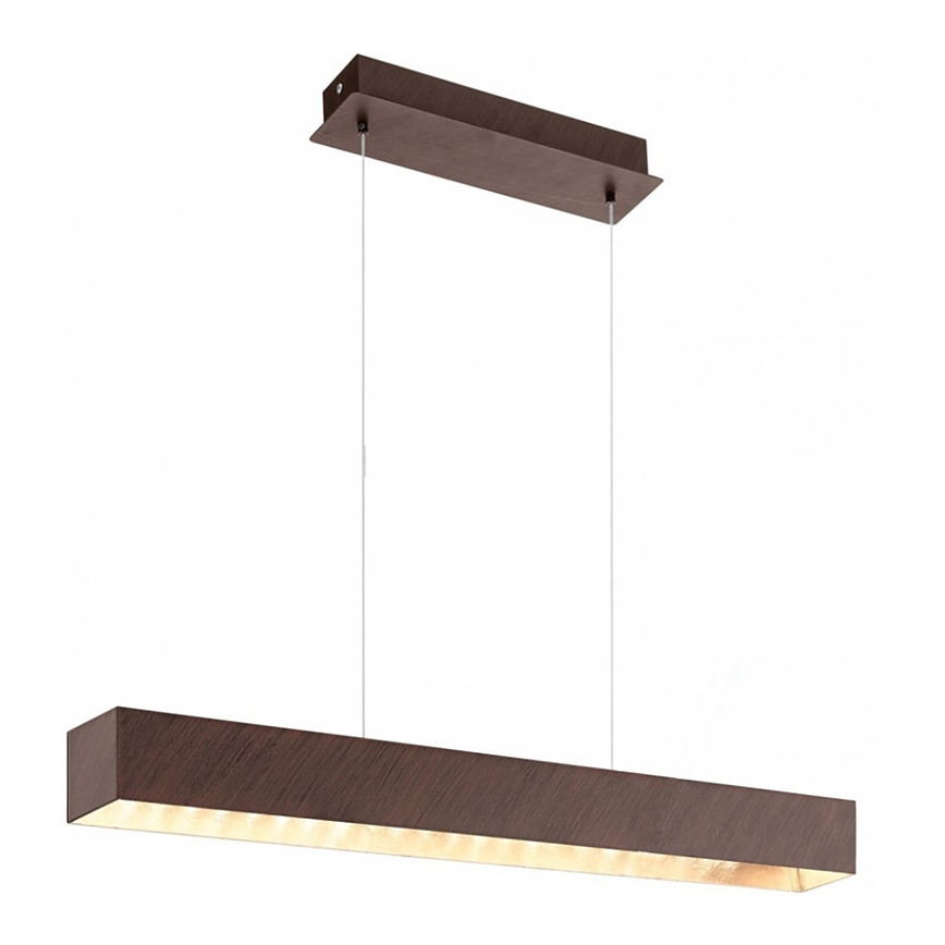 Eglo 93347 -  LED Luster na sajli COLLADA LED/12W/230V