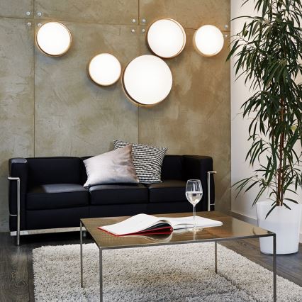 Eglo - LED stropna svjetiljka LED/12W/230V