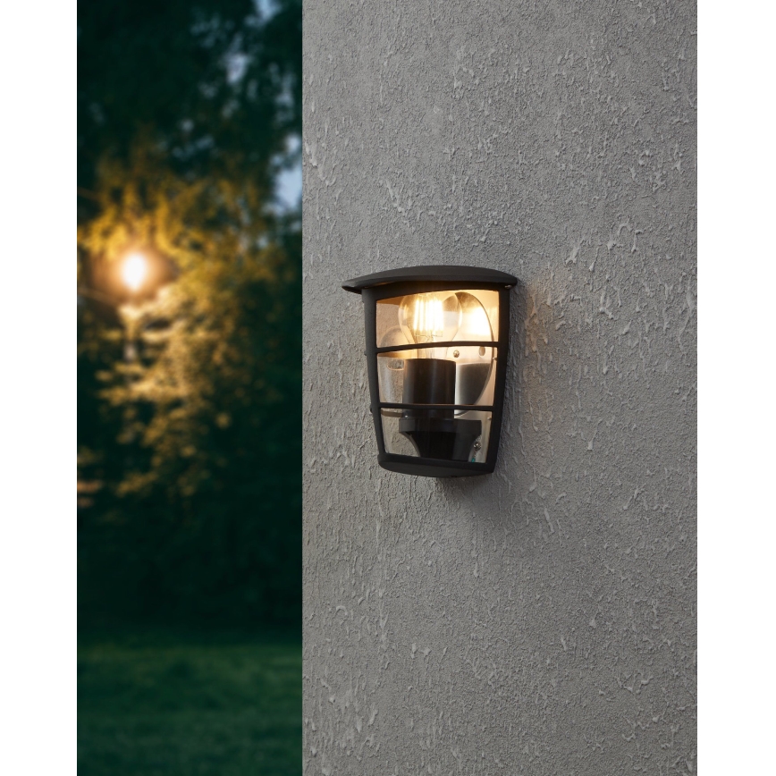 Eglo - Vanjska zidna svjetiljka 1xE27/60W/230V IP44