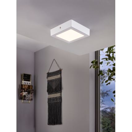 Eglo 94073 - LED Stropna svjetiljka FUEVA 1 LED/10,95W/230V