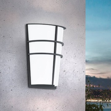 Eglo 94138 - LED vanjska zidna svjetiljka BREGANZO 2xLED/2,5W/230V IP44