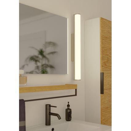 Eglo - LED kupaonska svjetiljka LED/13W/230V IP44