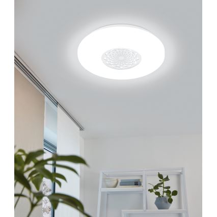 Eglo - LED stropna svjetiljka LED/24W/230V