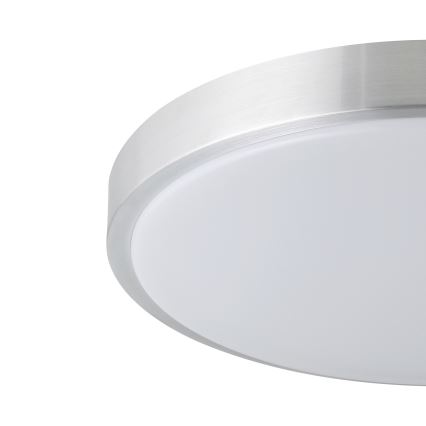 Eglo - LED stropna svjetiljka LED/24W/230V