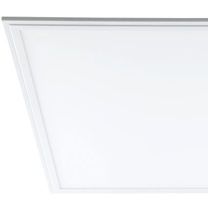 Eglo - LED panel LED/40W/230V