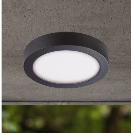 Eglo - LED Vanjska stropna svjetiljka LED/16,5W/230V IP44