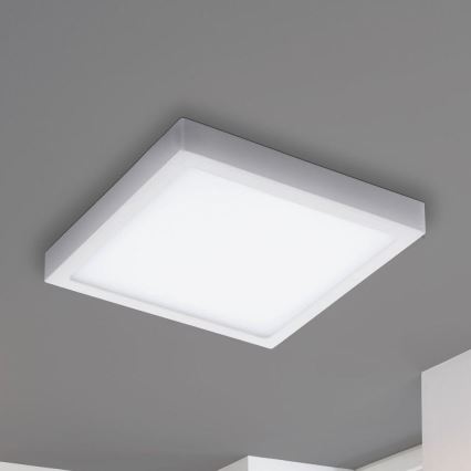 Eglo - LED RGBW Dimmabilno stropno svjetlo FUEVA-C LED/21W/230V
