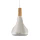 Eglo 96984 - Viseća svjetiljka SABINAR 1xE27/60W/230V pr. 18 cm srebrna