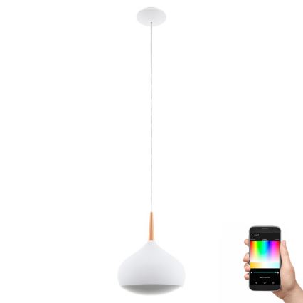 Eglo 97087 - LED RGBW Dimmabilni viseći luster COMBA-C 1xLED/18W/230V