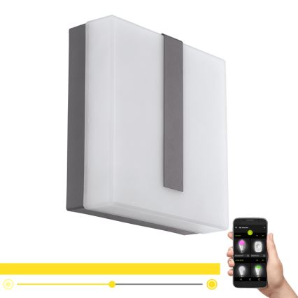 Eglo - LED Prigušiva vanjska zidna svjetiljka TORAZZA-C LED/14W/230V IP44