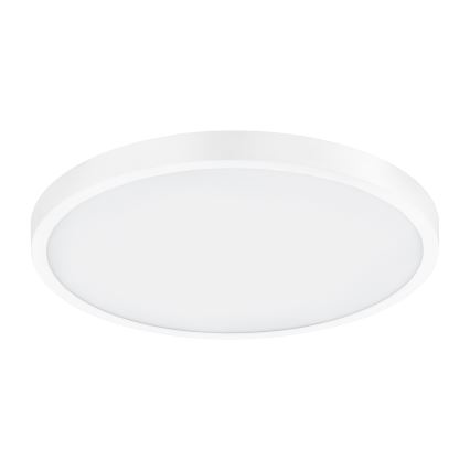 Eglo - LED Stropna svjetiljka 1xLED/25W/230V bijela okrugli 2500 lm