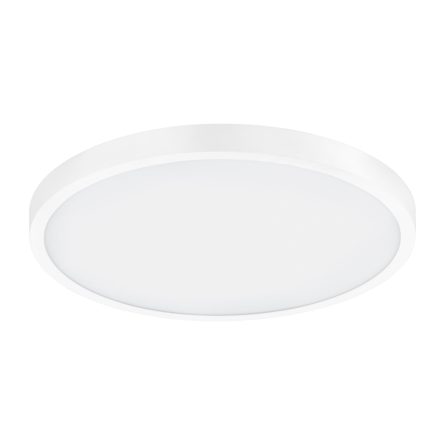 Eglo - LED Stropna svjetiljka 1xLED/25W/230V bijela okrugli 2500 lm