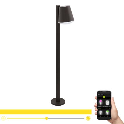 Eglo - LED Prigušiva vanjska lampa CALDIERO-C 1xE27/9W/230V antracit IP44
