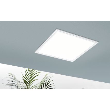 Eglo - LED RGB Dimmabilno svjetlo SALOBRENA-C 1xLED/24W/230V + daljinski upravljač