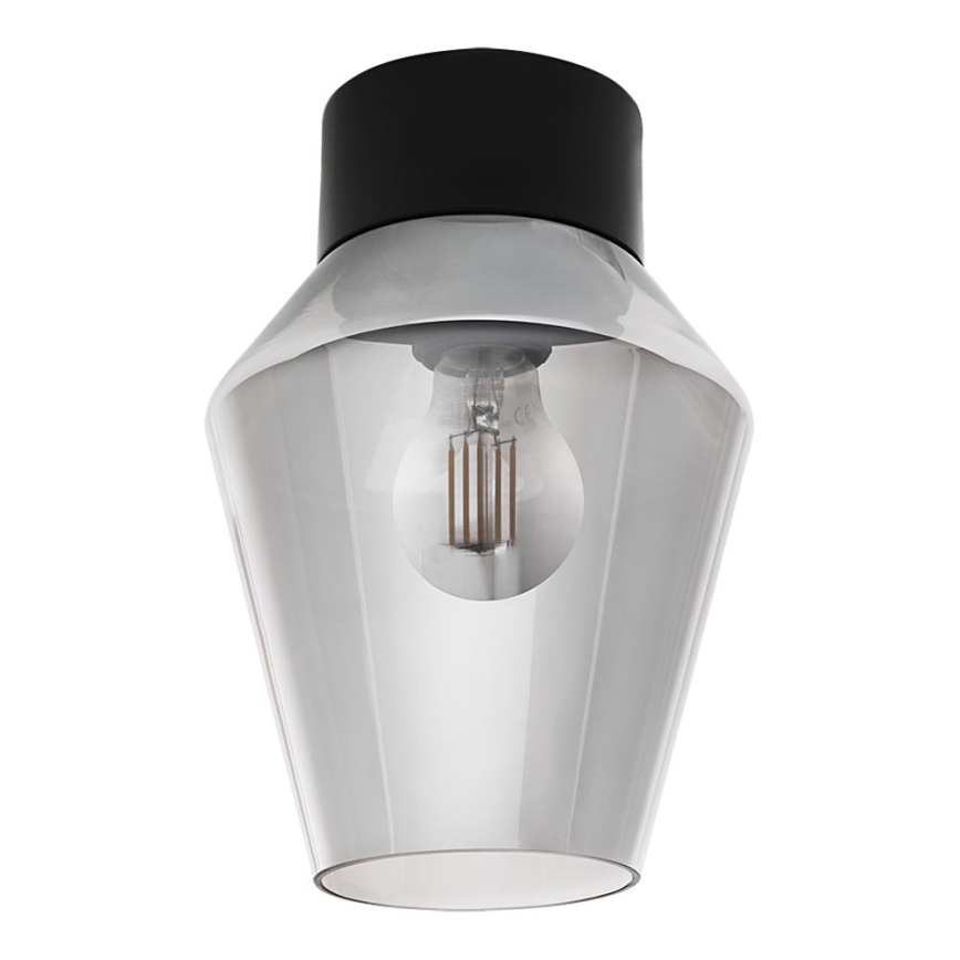 Eglo 97634 - Stropna svjetiljka VERELLI 1xE27/60W/230V