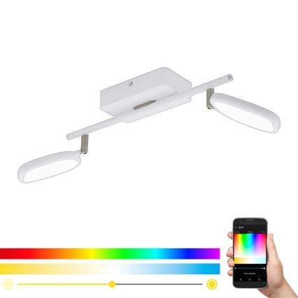 Eglo 97692 - LED RGB Ugradna svjetiljka PALOMBARE-C 2xLED/5W/230V