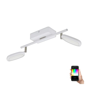 Eglo 97692 - LED RGB Ugradna svjetiljka PALOMBARE-C 2xLED/5W/230V