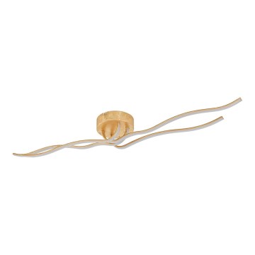 Eglo 97744 - LED stropna svjetiljka MIRAFLORES 4xLED/9W/230V